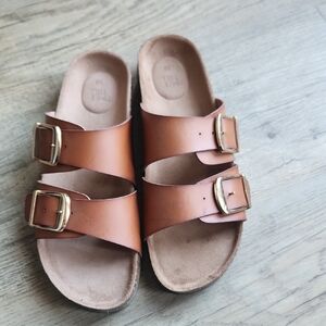 Brown Sandals with Gold Buckles